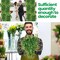 28-Pack Artificial Hanging Plants – 32-Inch Faux Boston Fern Vines, Plastic Greenery, Eucalyptus-Look Indoor Outdoor Wall, Room, and Wedding Décor (No Baskets)